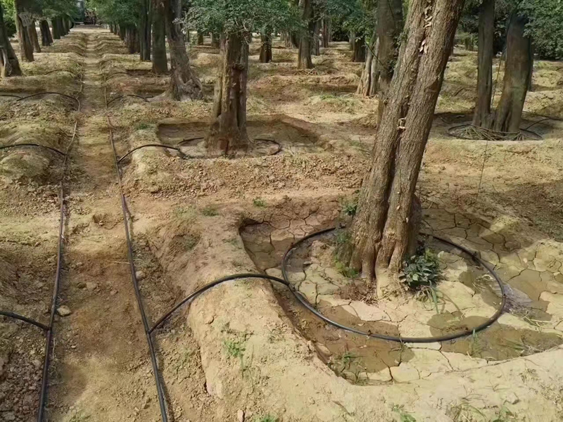 ��ˮ���ˮ��һ�廯