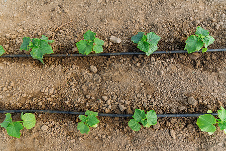 ˮ��һ�廯��������ȱ��