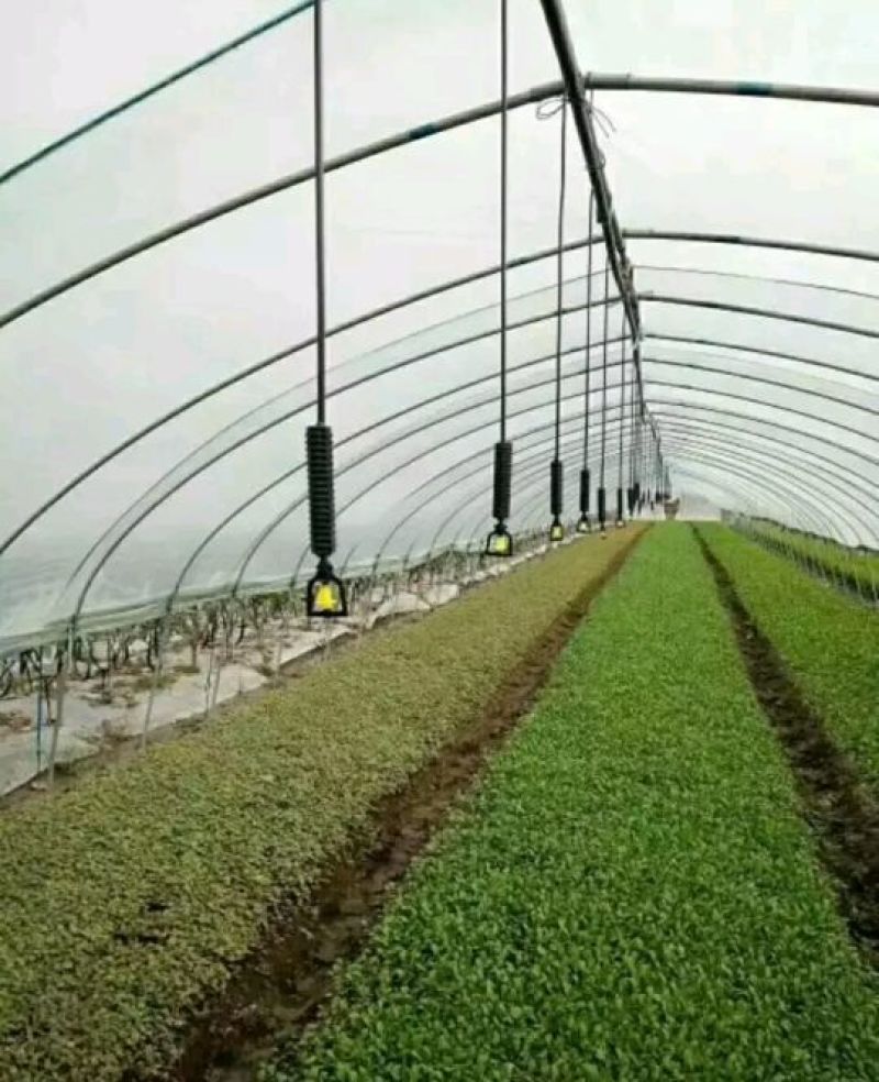 ��ȵι�ϵͳ�豸��������ά������