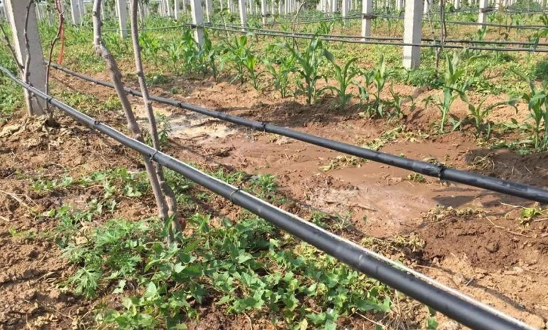 ��η�ֹ�ι�ϵͳ�Ĺܵ��͵�ͷ����