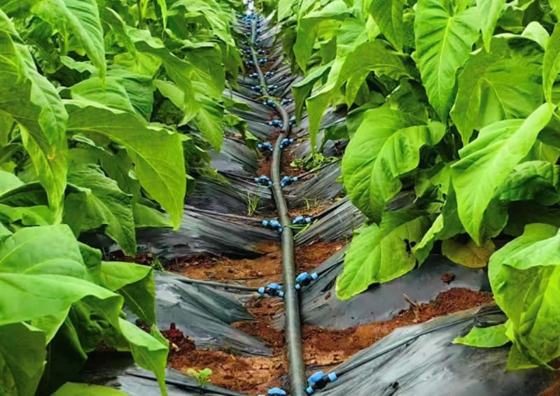 �ι�ʩ�ʶԷ��ϵ�Ҫ������Щ