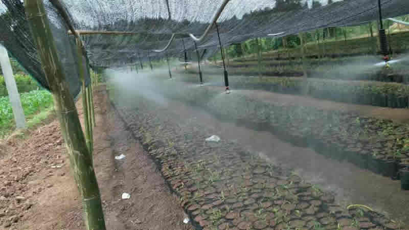 ˮ��һ�廯���ļ����������