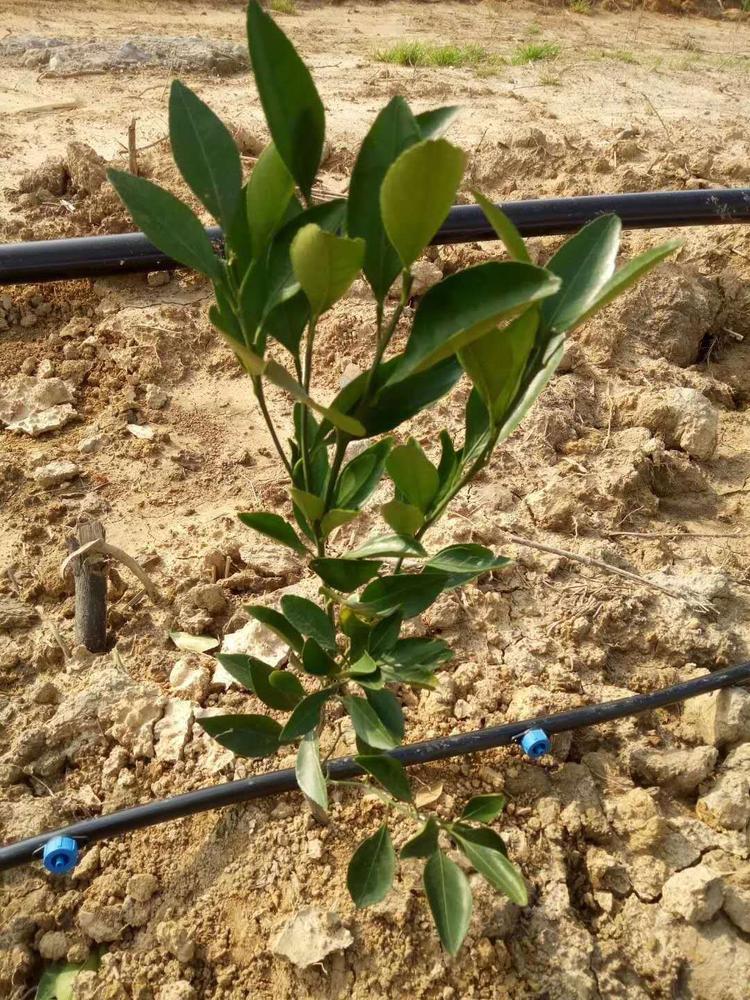 ˮ��һ�廯���ܹ���豸������