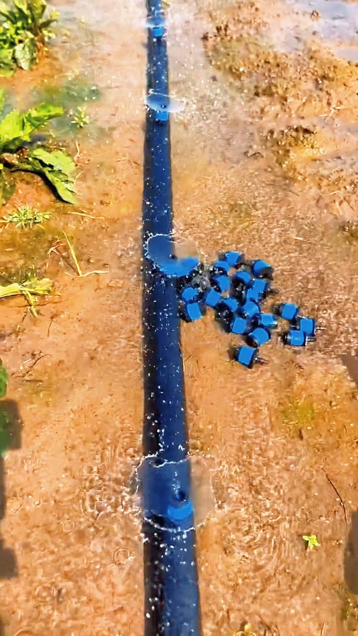 �Ͳ�ˮ��һ�廯�������ȫ���ƽ��½׶�